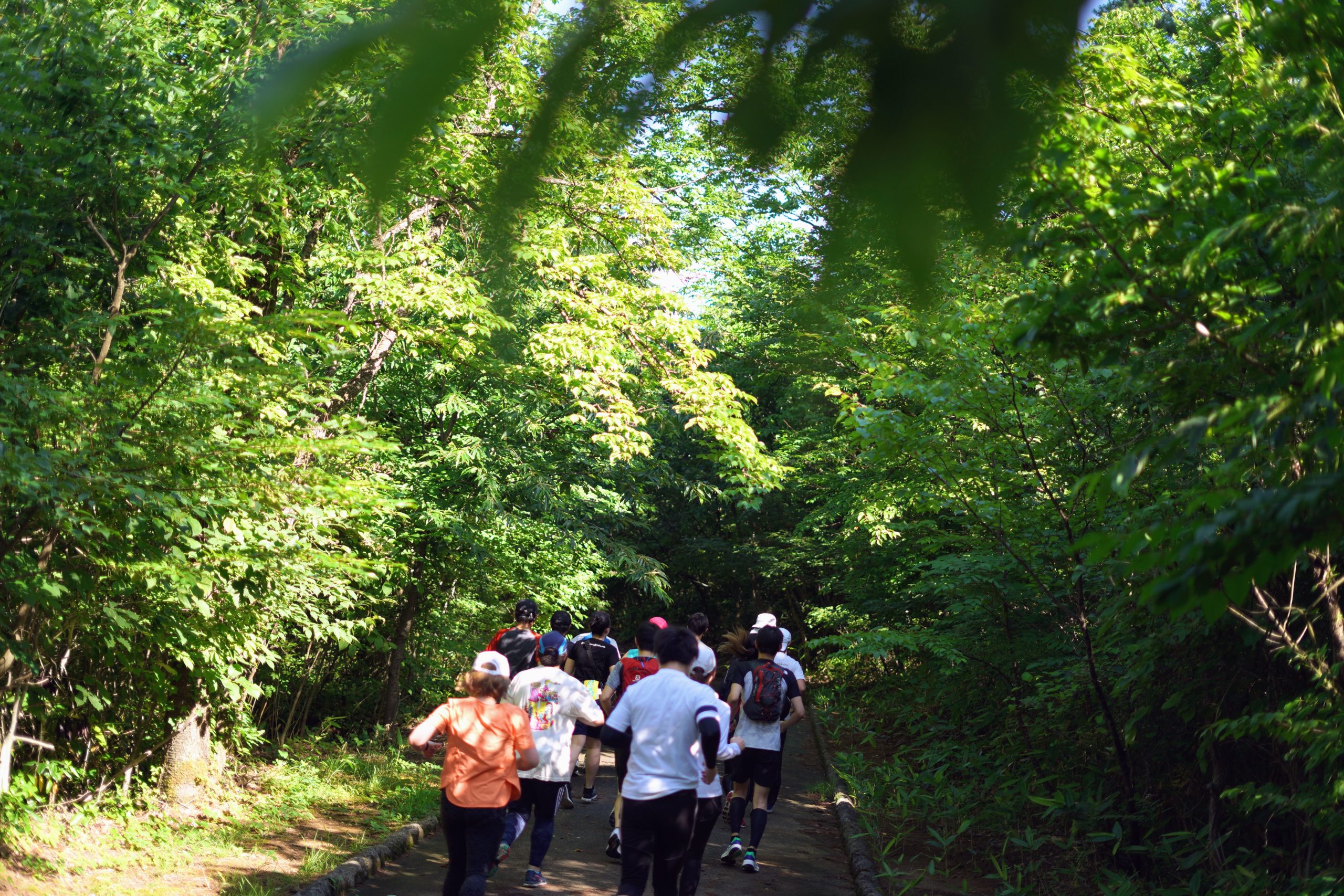 【雨天中止】8月7日 秋田市でGood Morning Runを開催します